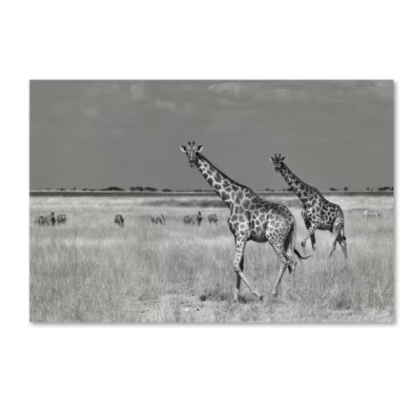 Mathilde Guillemot 'Tourists Spend' Canvas Art, 22x32, Trademark Fine Art, Mfr#: 1X03271-C2232GG
